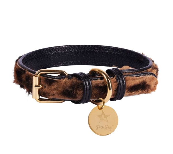 Wildest One - Dog Collar  - XL