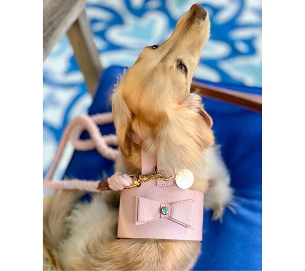 Bella Rose - Dog Harness  - Medium