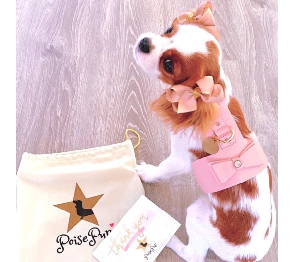 Bella Rose - Dog Harness  - Medium