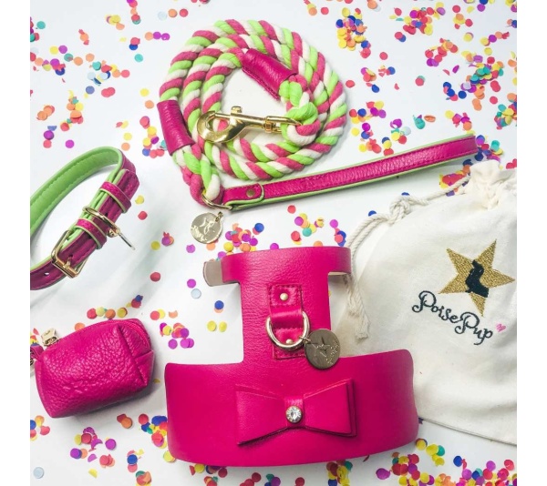 Candy Swirl - Dog Harness  - Small