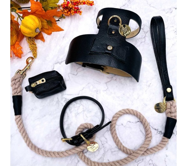 Dark Night - Dog Harness  - Small