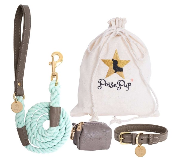 Desert Mint - Dog Harness  - Small