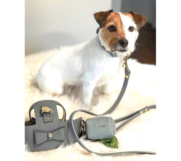 Full Bloom - Dog Harness  - Small