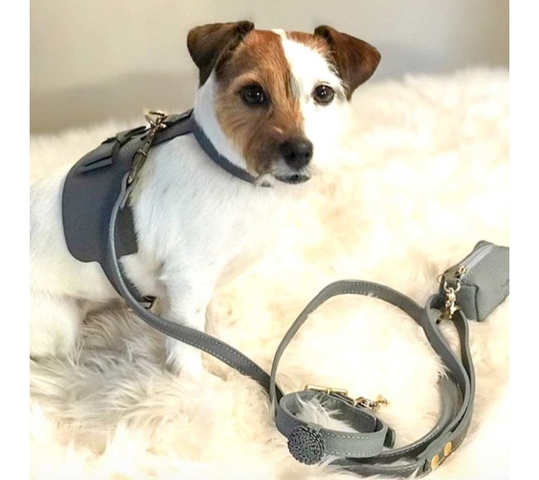 Full Bloom - Dog Harness  - XS