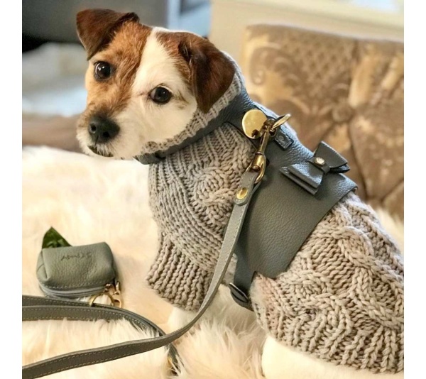 Full Bloom - Dog Harness  - XS