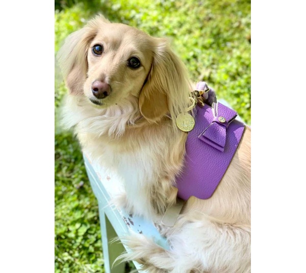 Lavish Lavender - Dog Harness  - Medium