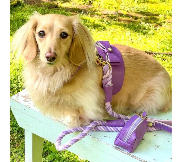 Lavish Lavender - Dog Harness  - Medium
