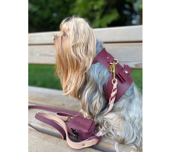 Luscious Bow - Dog Harness  - Medium