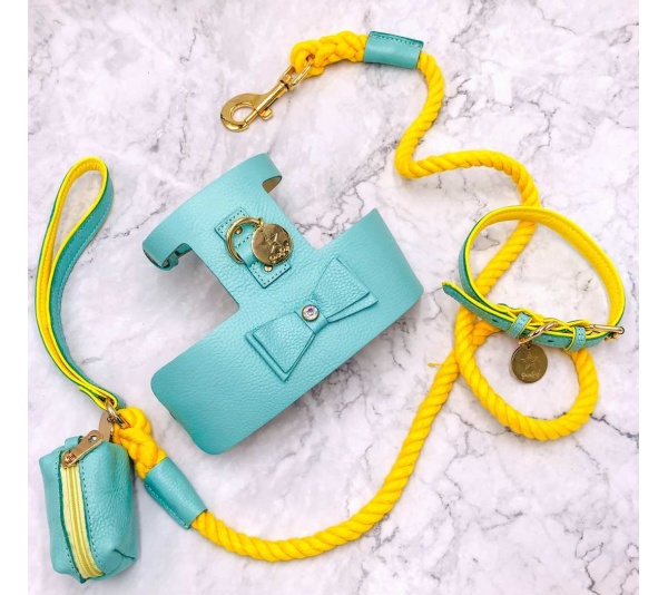 Sunshine Babe - Dog Harness  - Medium