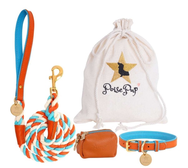 Vibrant Sunset - Dog Harness  - XS