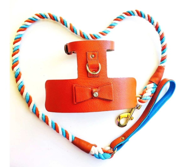 Vibrant Sunset - Dog Harness  - Medium