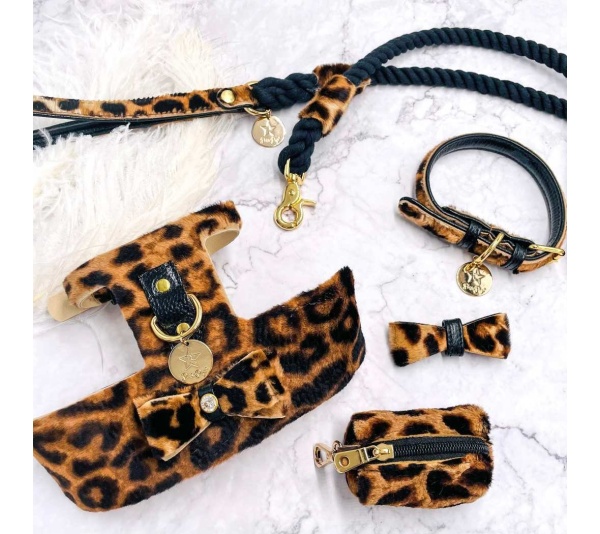 Wildest One - Dog Harness  - XS