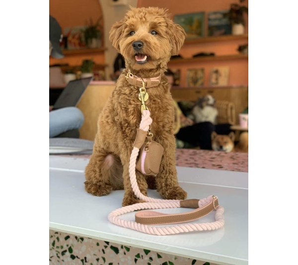 Bella Rose - Dog Leash