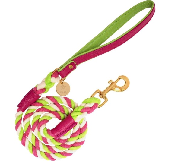 Candy Swirl - Dog Leash
