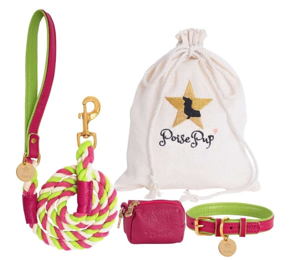 Candy Swirl - Dog Leash