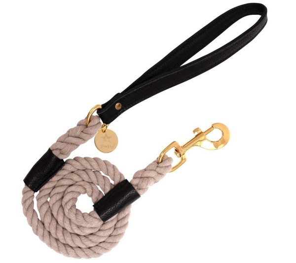Dark Night - Dog Leash