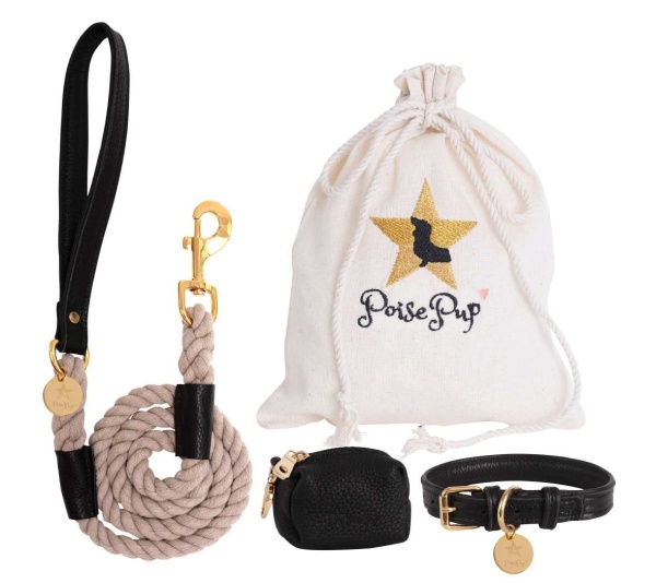 Dark Night - Dog Leash