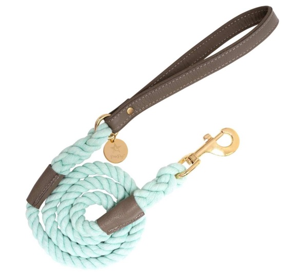 Desert Mint - Dog Leash