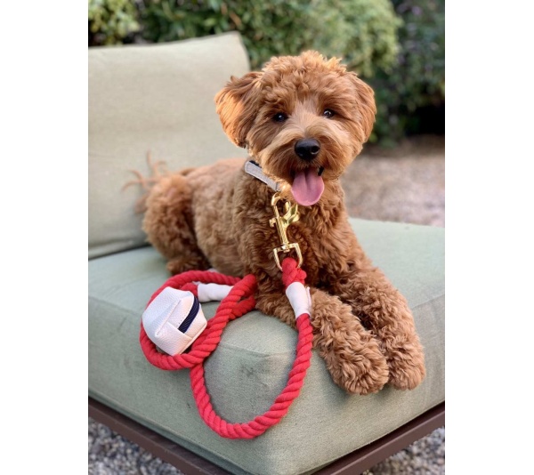 Hot Marine - Dog Leash