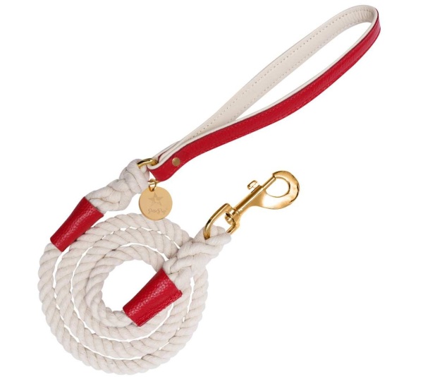 Melting Hearts - Dog Leash