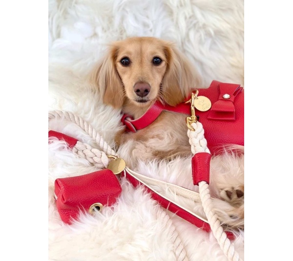 Melting Hearts - Dog Leash