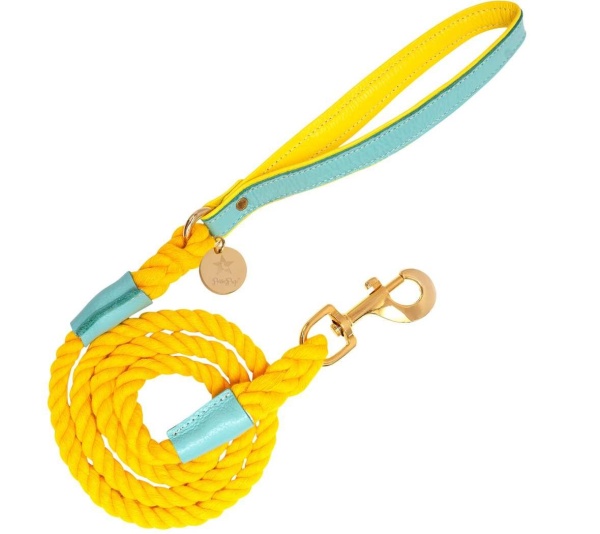Sunshine Babe - Dog Leash