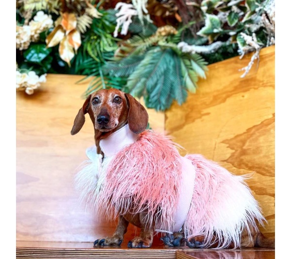 Bella Rose - Mink Faux-Fur Vest - XS