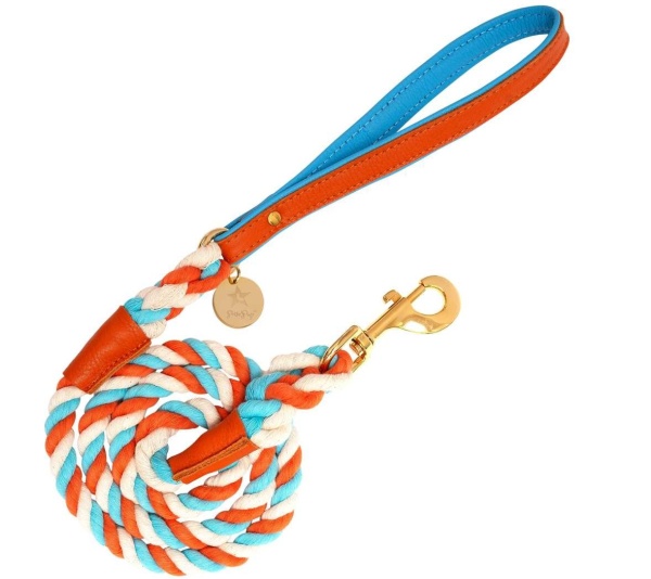 Vibrant Sunset - Dog Leash