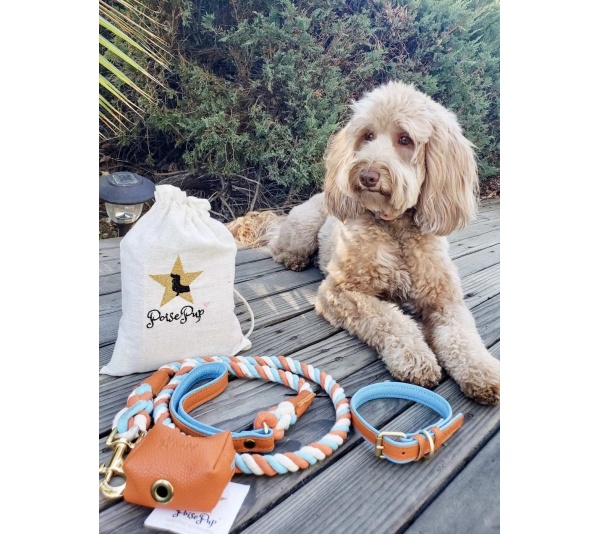 Vibrant Sunset - Dog Leash