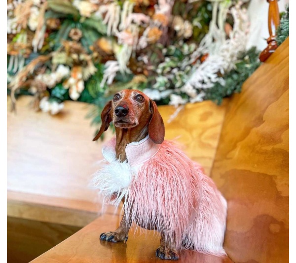 Bella Rose - Mink Faux-Fur Vest - Medium