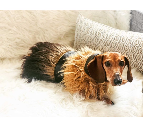 Wildest One - Mink Faux-Fur Vest - XS