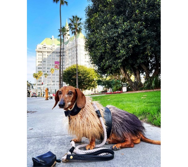 Wildest One - Mink Faux-Fur Vest - Medium