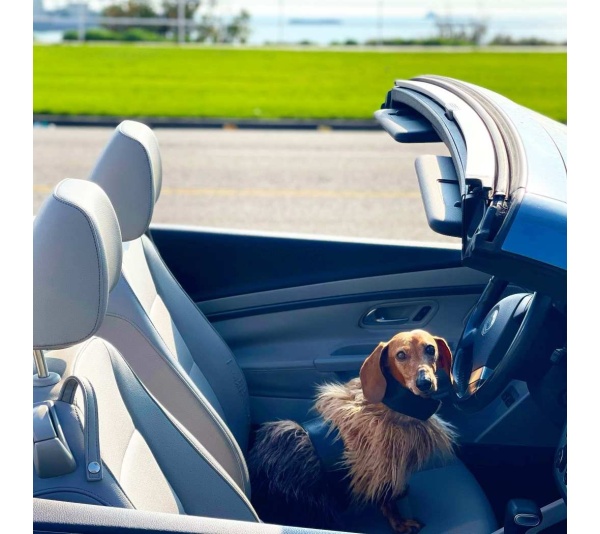 Wildest One - Mink Faux-Fur Vest - Medium