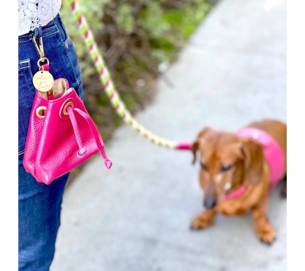 Candy Swirl - Treat Bag