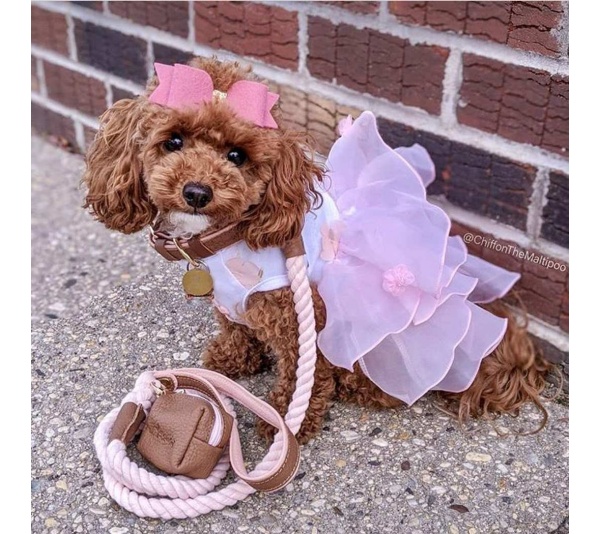 Bella Rose - Waste Bag Holder