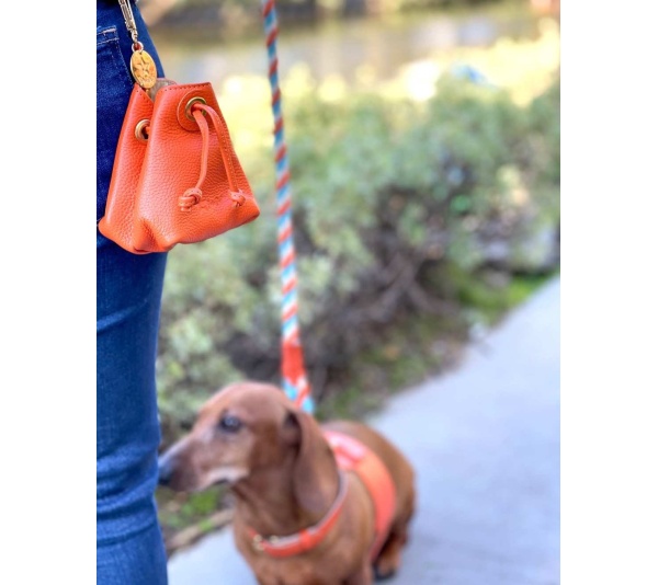 Vibrant Sunset - Treat Bag