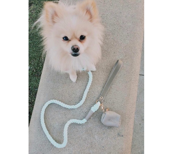 Desert Mint - Waste Bag Holder