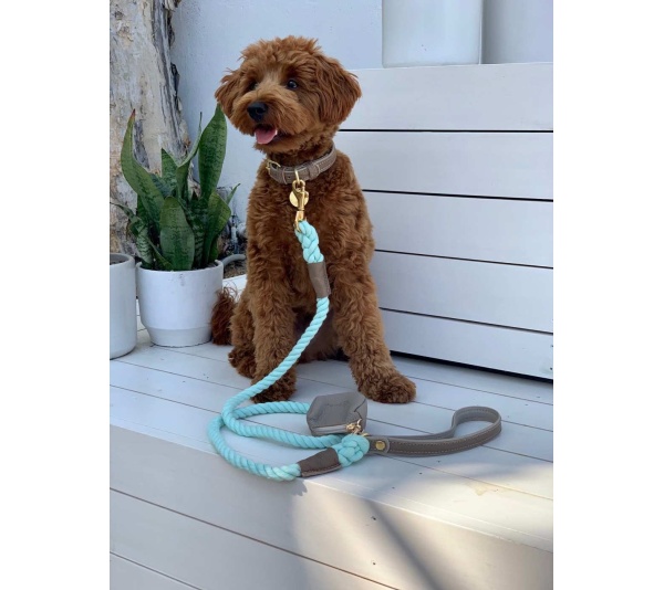 Desert Mint - Waste Bag Holder