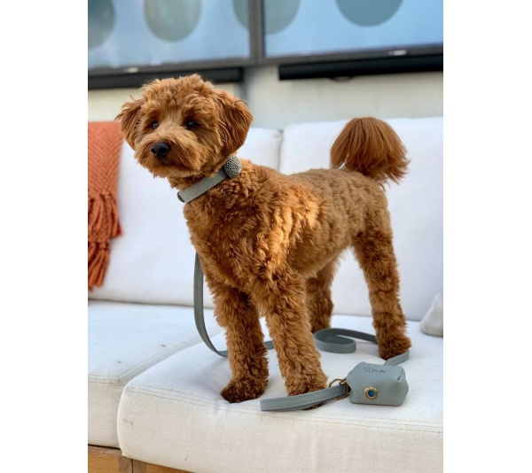 Full Bloom - Waste Bag Holder