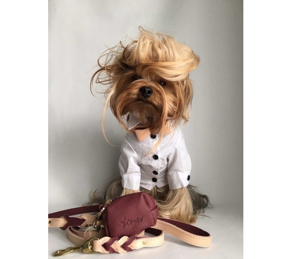 Luscious Bow - Waste Bag Holder