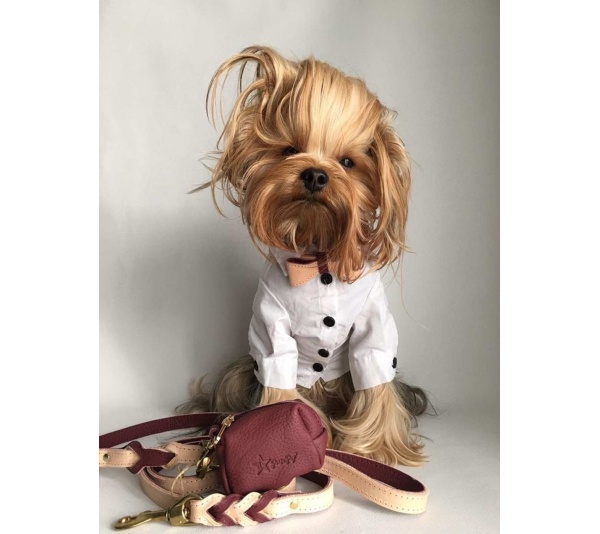 Luscious Bow - Waste Bag Holder