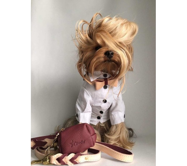 Luscious Bow - Waste Bag Holder