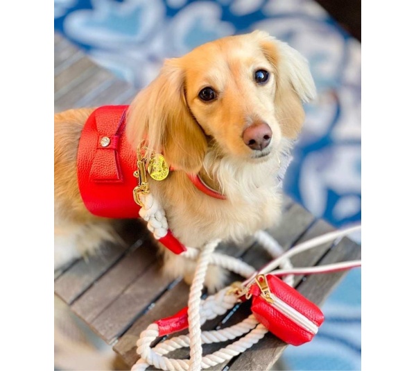 Melting Hearts - Waste Bag Holder