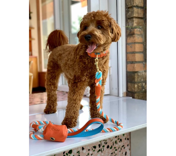 Vibrant Sunset - Waste Bag Holder