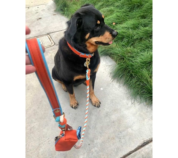 Vibrant Sunset - Waste Bag Holder