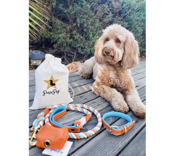 Vibrant Sunset - Waste Bag Holder