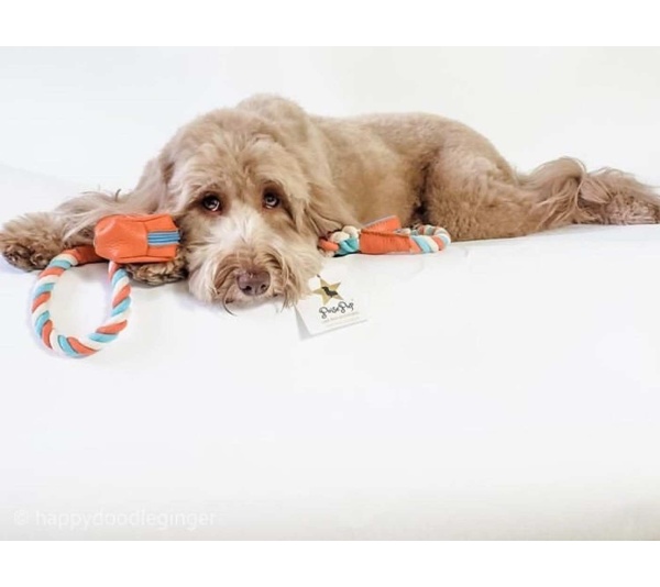 Vibrant Sunset - Waste Bag Holder