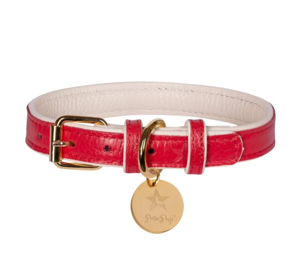 Melting Hearts - Dog Collar  - Medium