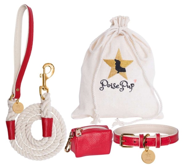 Melting Hearts - Dog Collar  - Medium