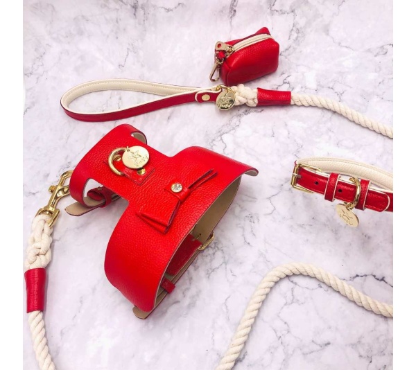 Melting Hearts - Dog Collar  - Medium